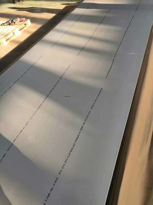 UNS N10276 Hastelloy hợp kim C-276